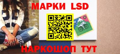 гашик Кингисепп
