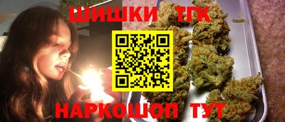 гашик Кингисепп