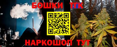 гашик Кингисепп