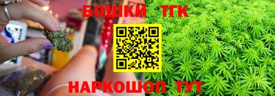 гашик Кингисепп