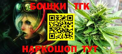 гашик Кингисепп