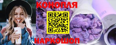 гашик Кингисепп