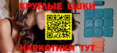 гашик Кингисепп