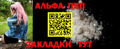 гашик Кингисепп