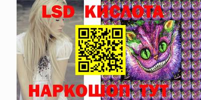 гашик Кингисепп