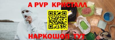 гашик Кингисепп