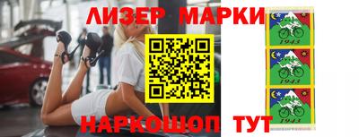 гашик Кингисепп