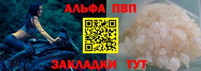 гашик Кингисепп