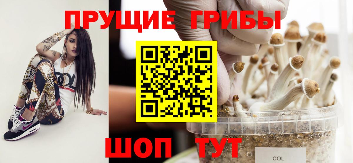 наркошоп  Галлюциногенные грибы MAGIC MUSHROOMS  Вход с VPN  Галлюциногенные грибы ЛСД  Королёв 
